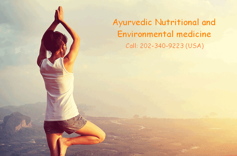 ayurvedic wellness